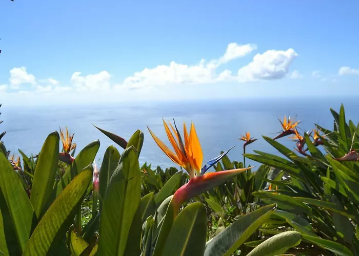 Casal Sao Joao 105 アパート